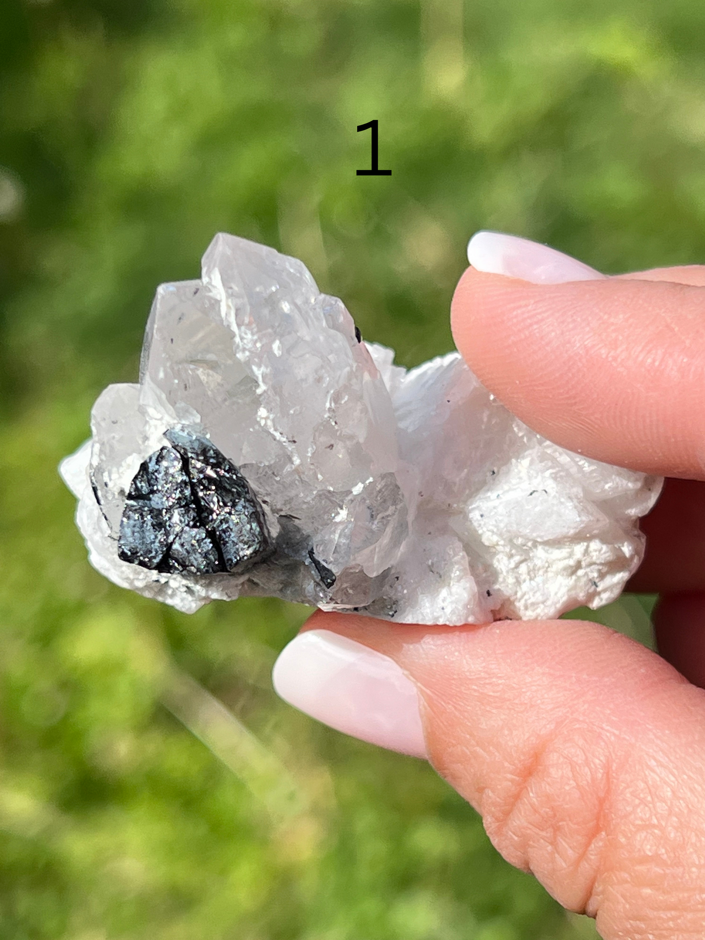 Black Tourmaline Specimen - Zoee Crystals