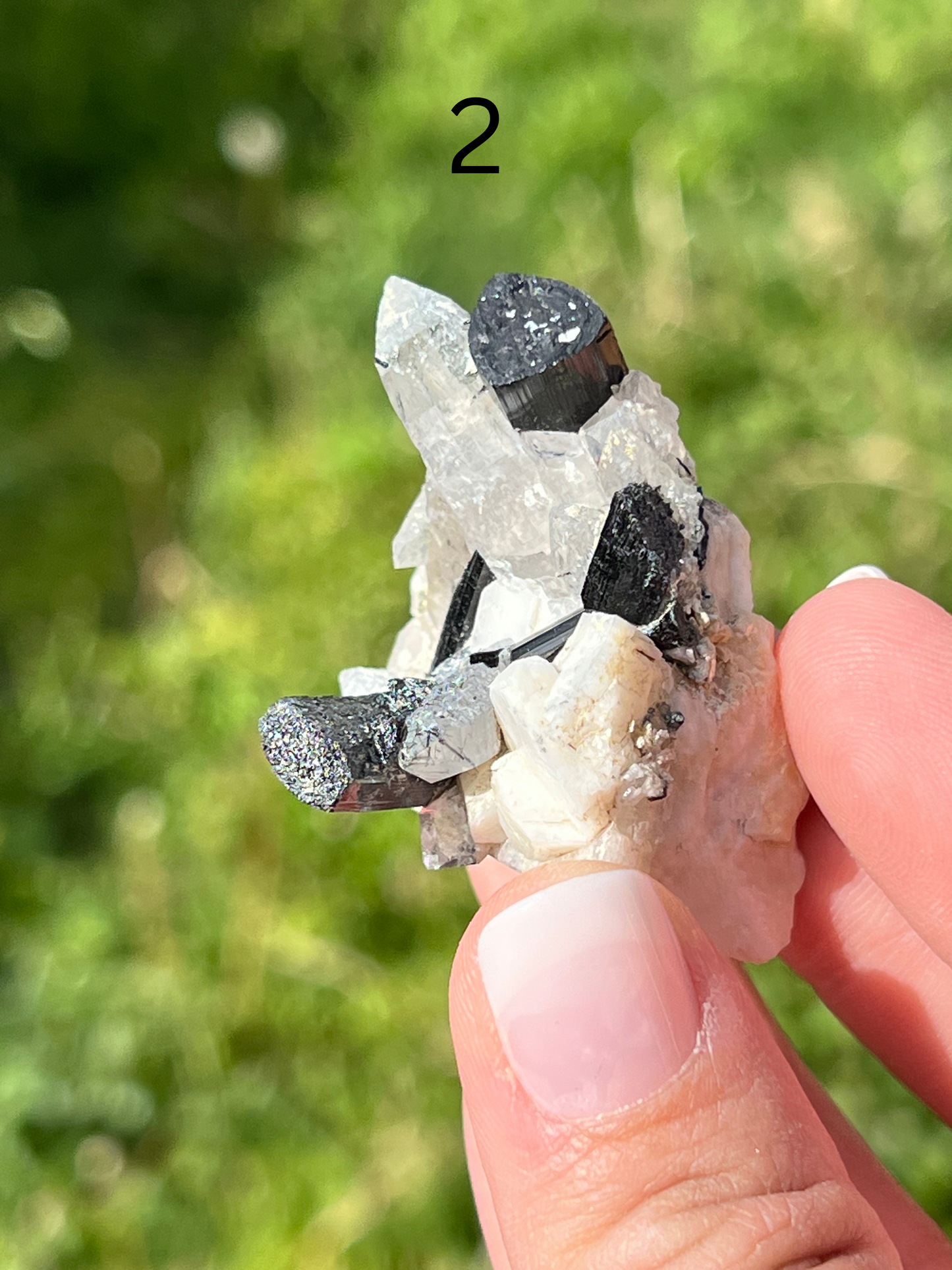 Black Tourmaline Specimen - Zoee Crystals