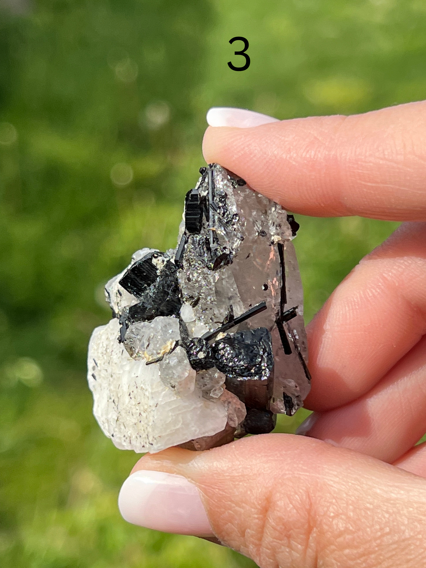 Black Tourmaline Specimen - Zoee Crystals