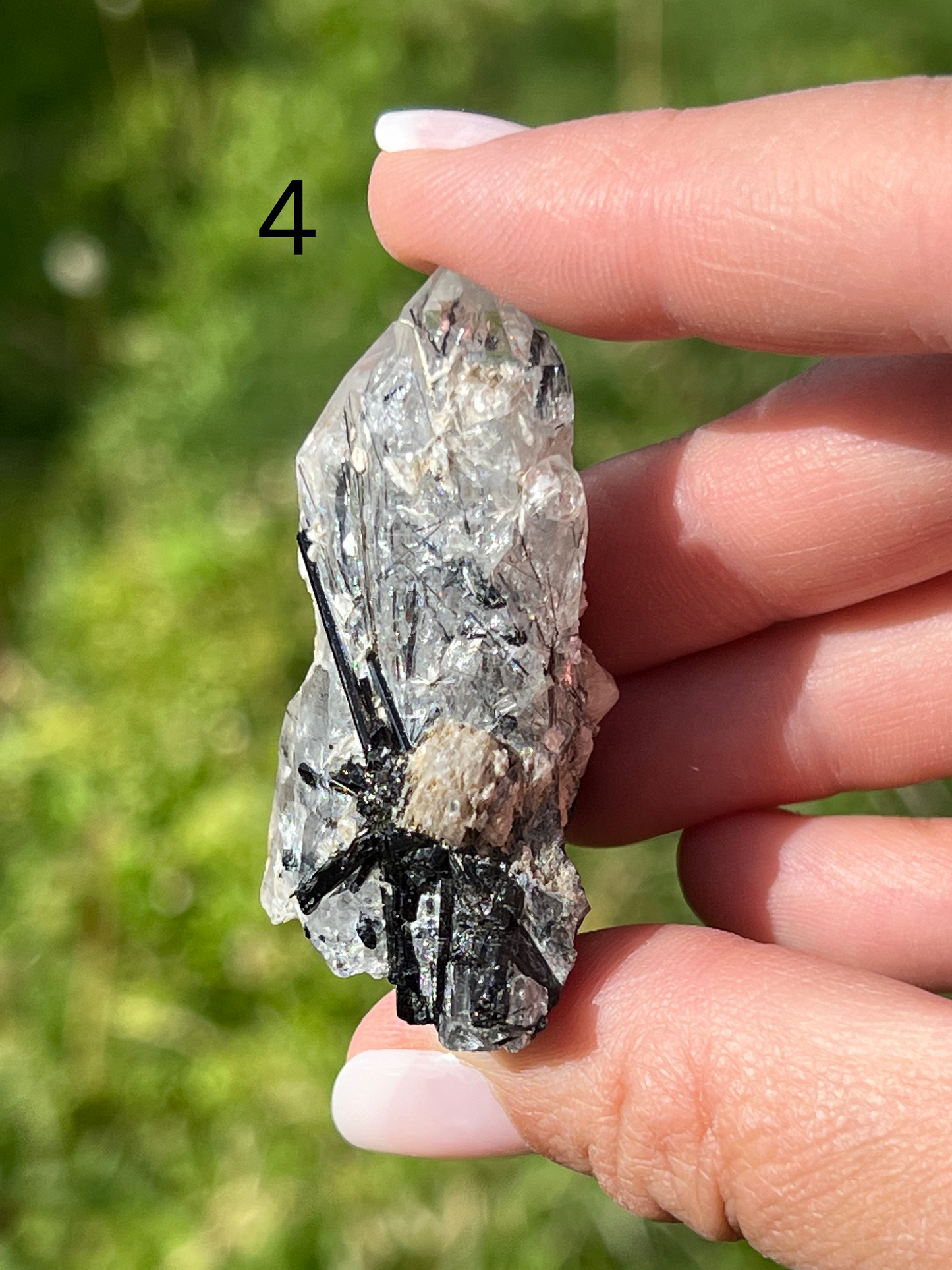 Black Tourmaline Specimen - Zoee Crystals
