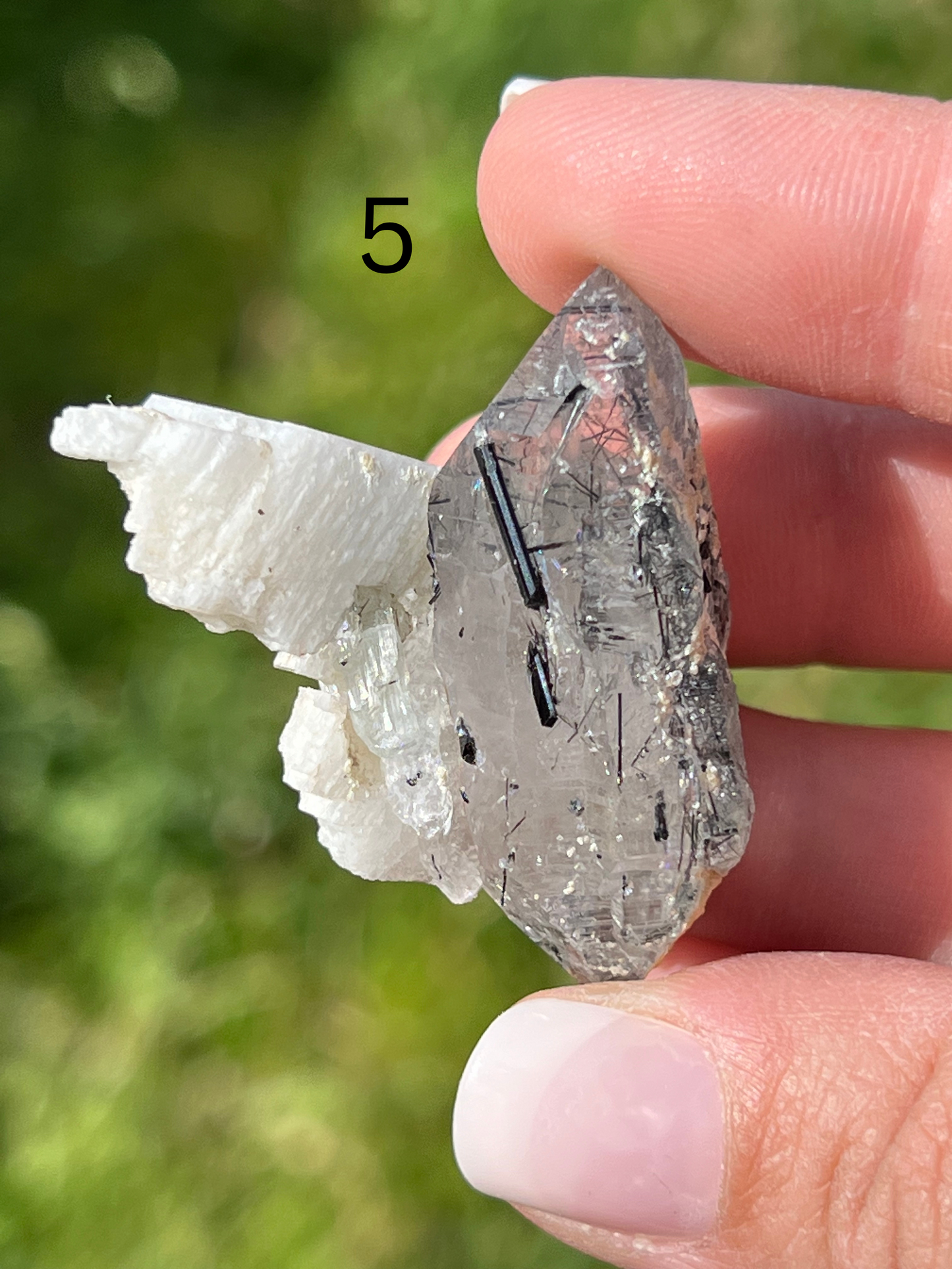 Black Tourmaline Specimen - Zoee Crystals