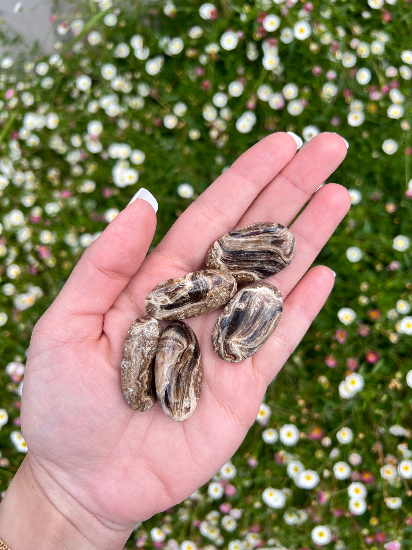 Chocolate Calcite Mini Palmstone - Zoee Crystals