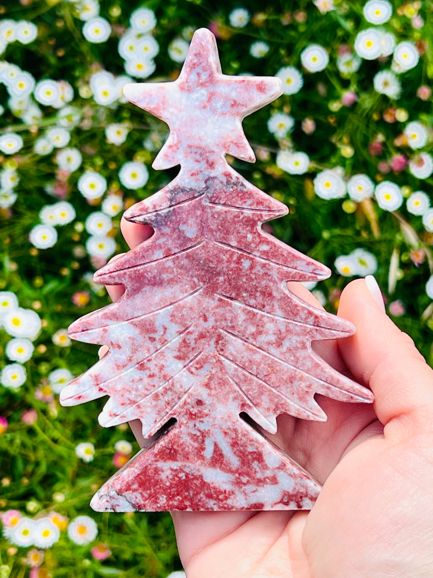 Strawberry Jasper Tree - Zoee Crystals