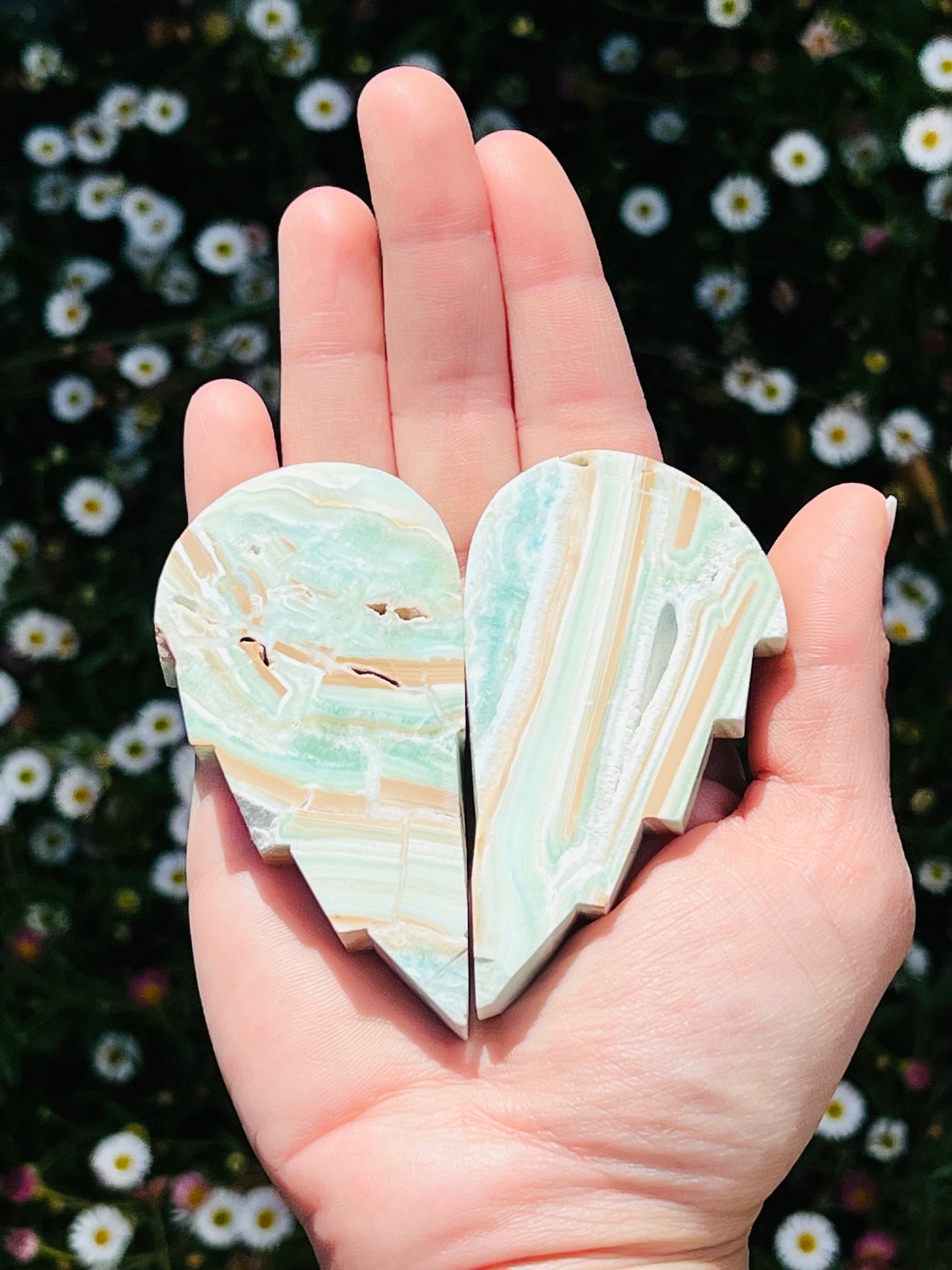 Blue Aragonite Angel Wings - Zoee Crystals