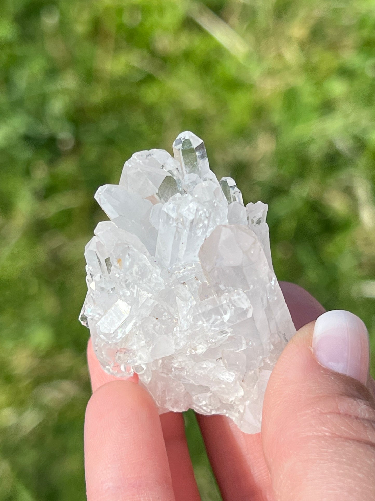 Clear Quartz Cluster - Zoee Crystals