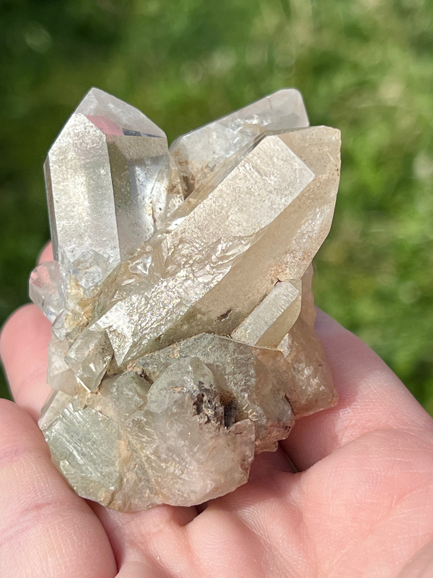 Clear Quartz Cluster - Zoee Crystals