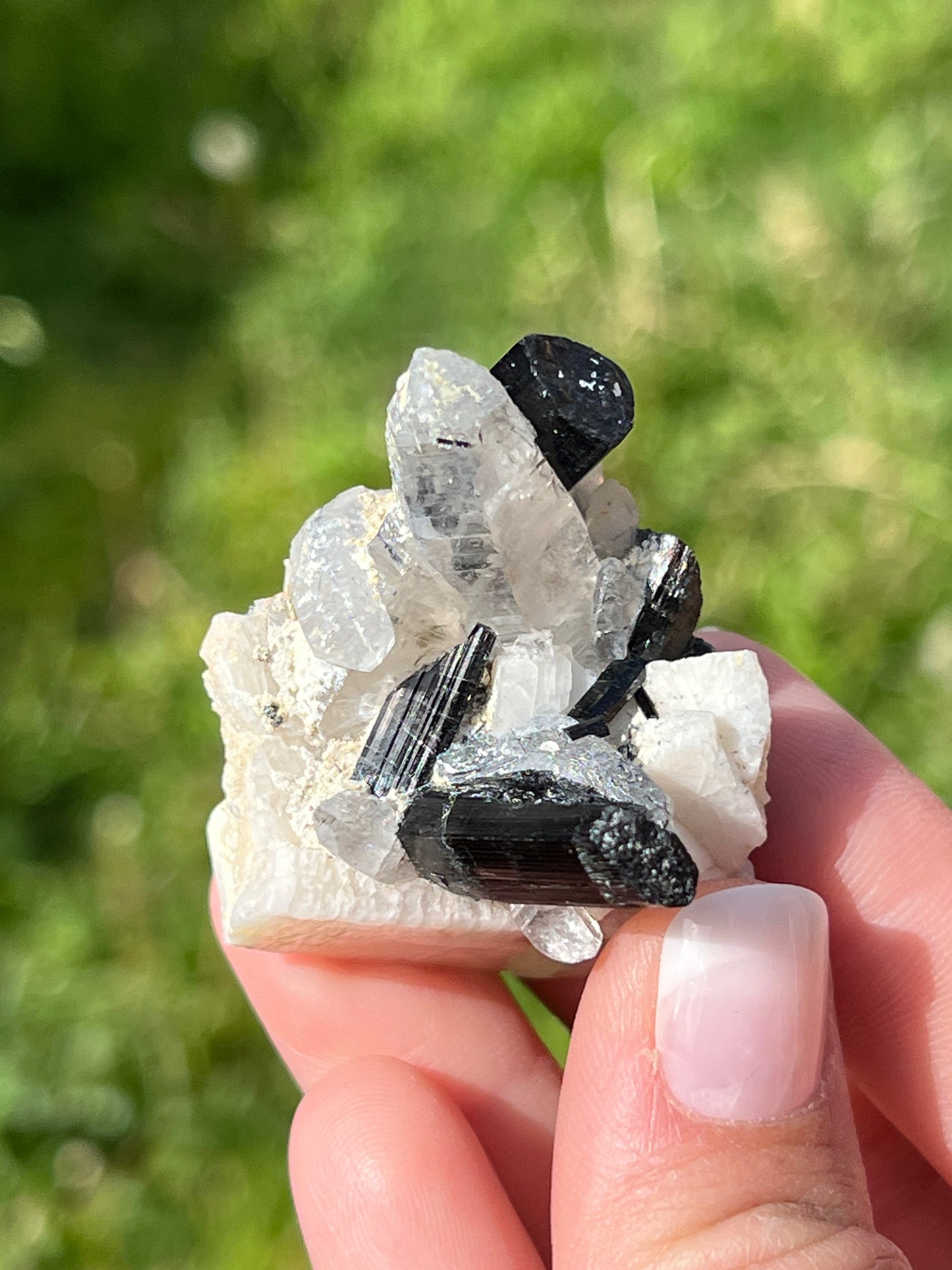 Black Tourmaline Specimen - Zoee Crystals