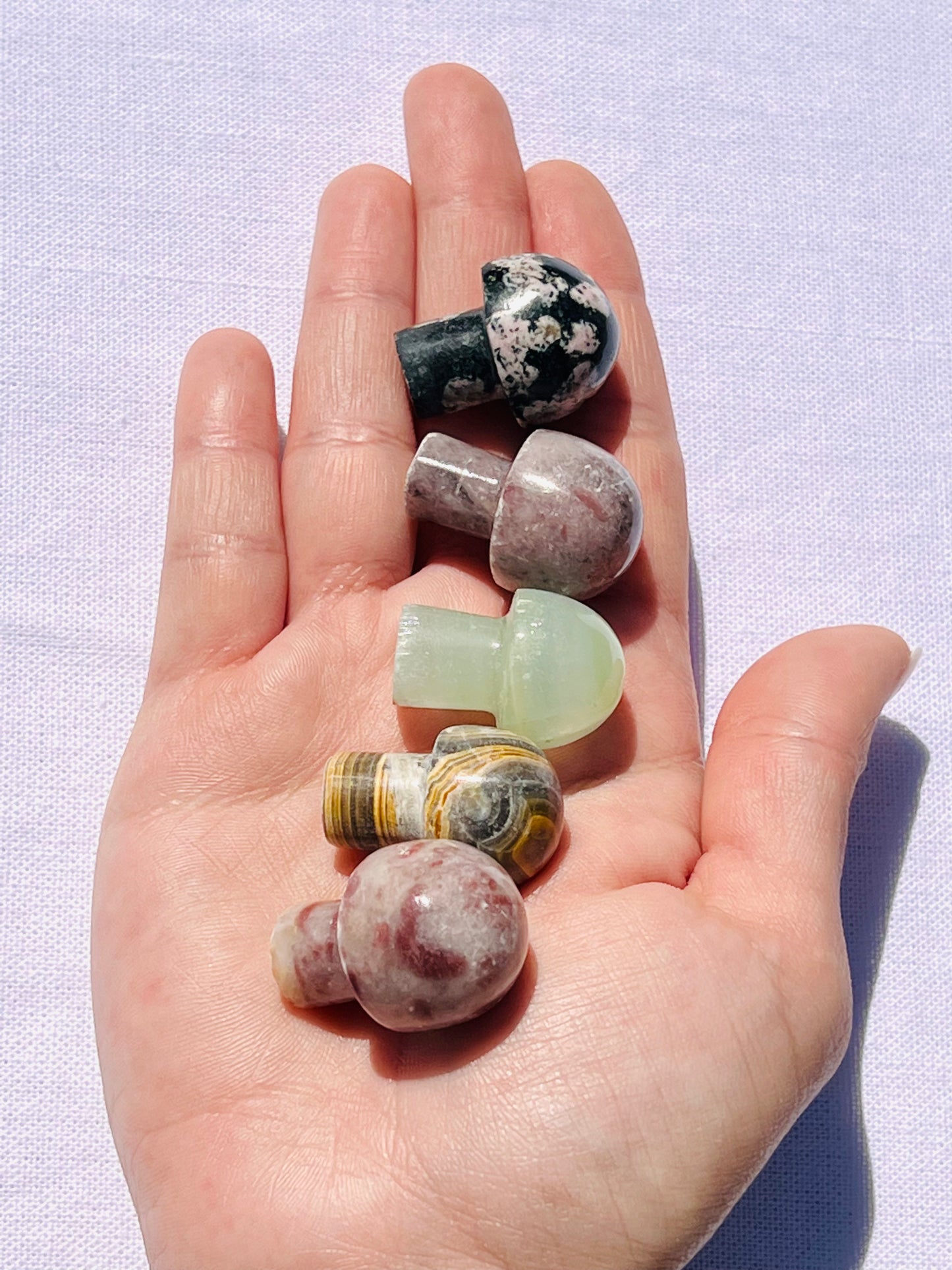 Mystery Mushrooms - Zoee Crystals