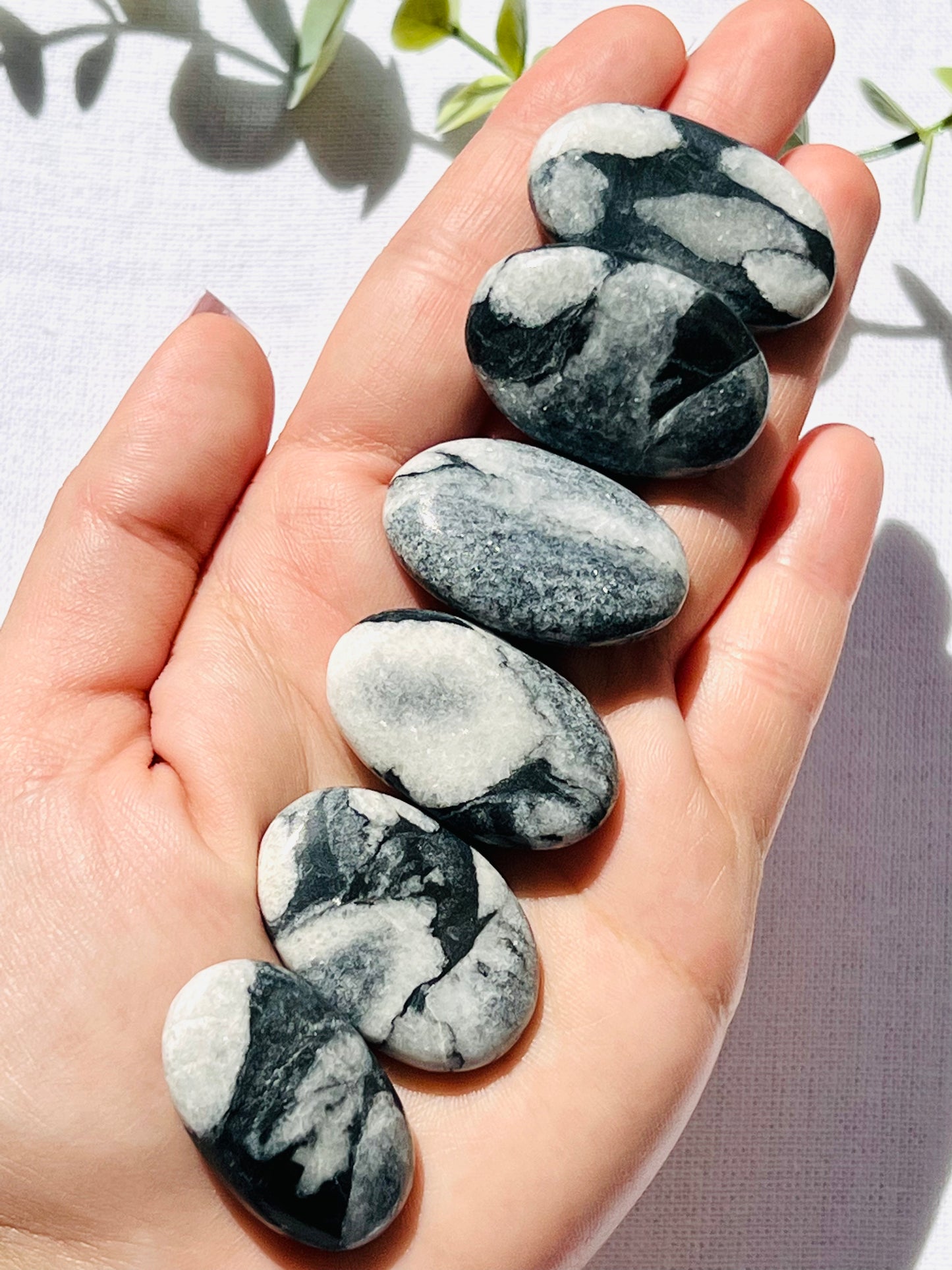 Shell Jasper Mini Palmstone - Zoee Crystals