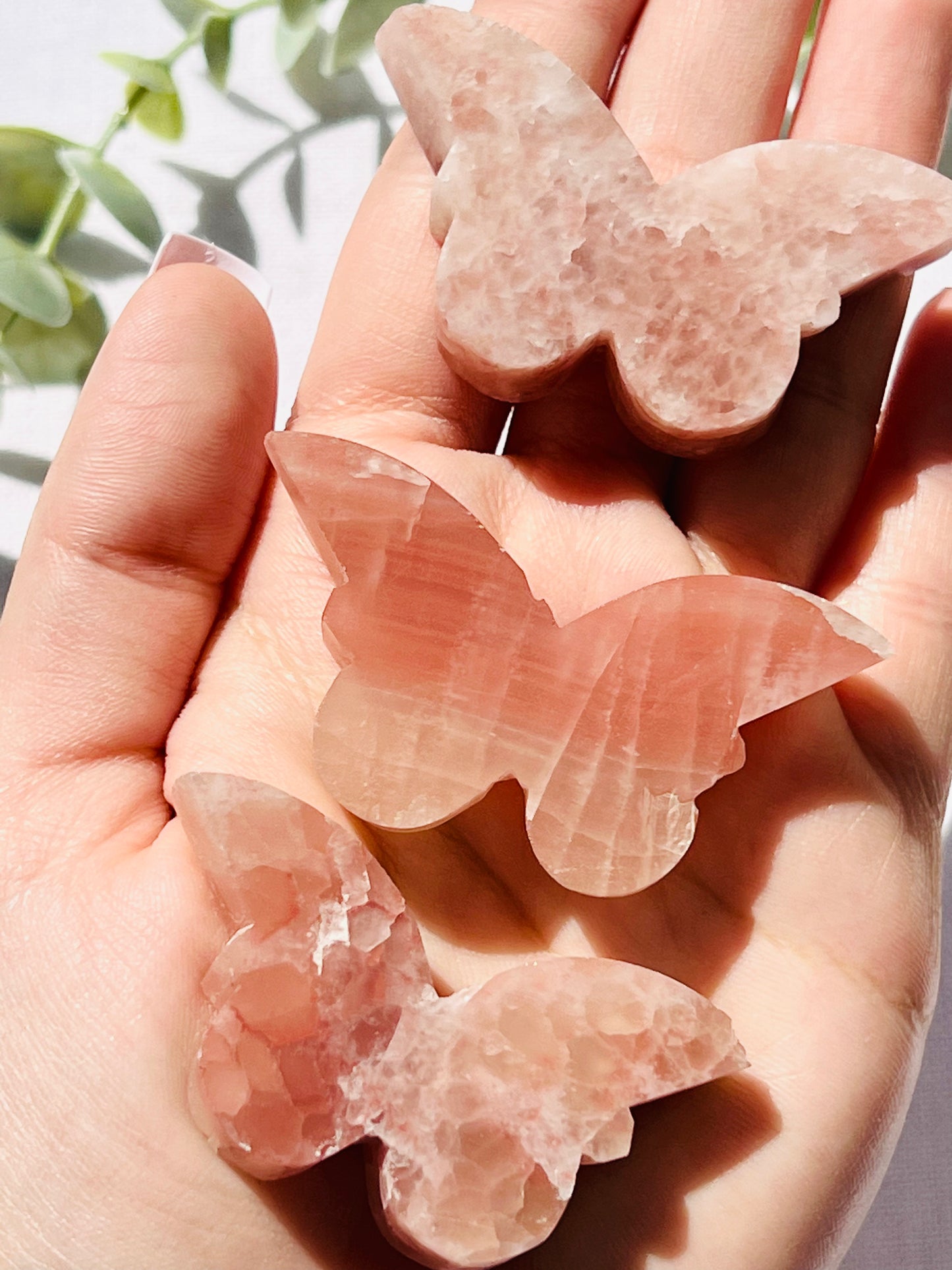 Rose Calcite Butterfly - Zoee Crystals