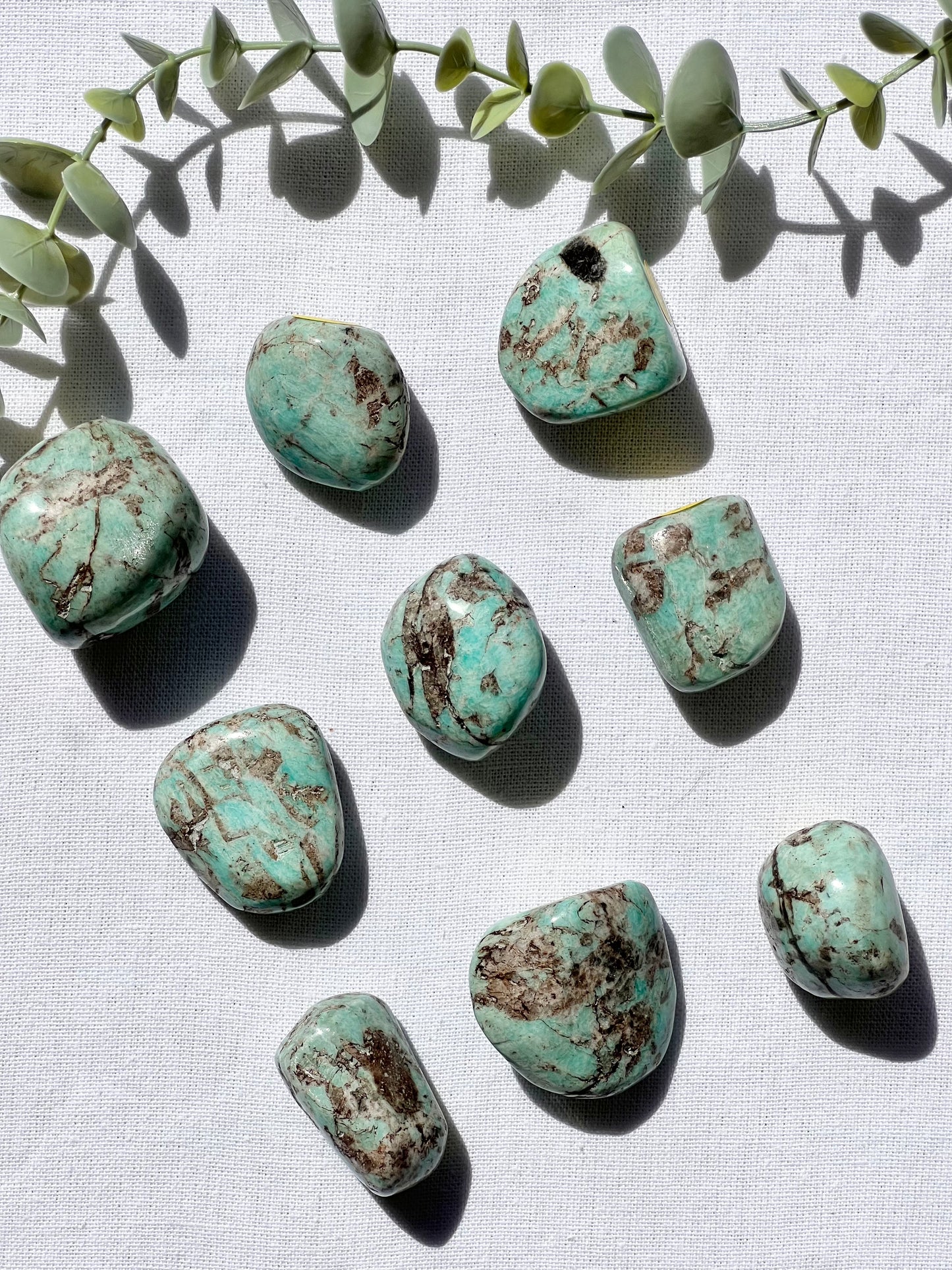 Amazonite Tumble - Zoee Crystals