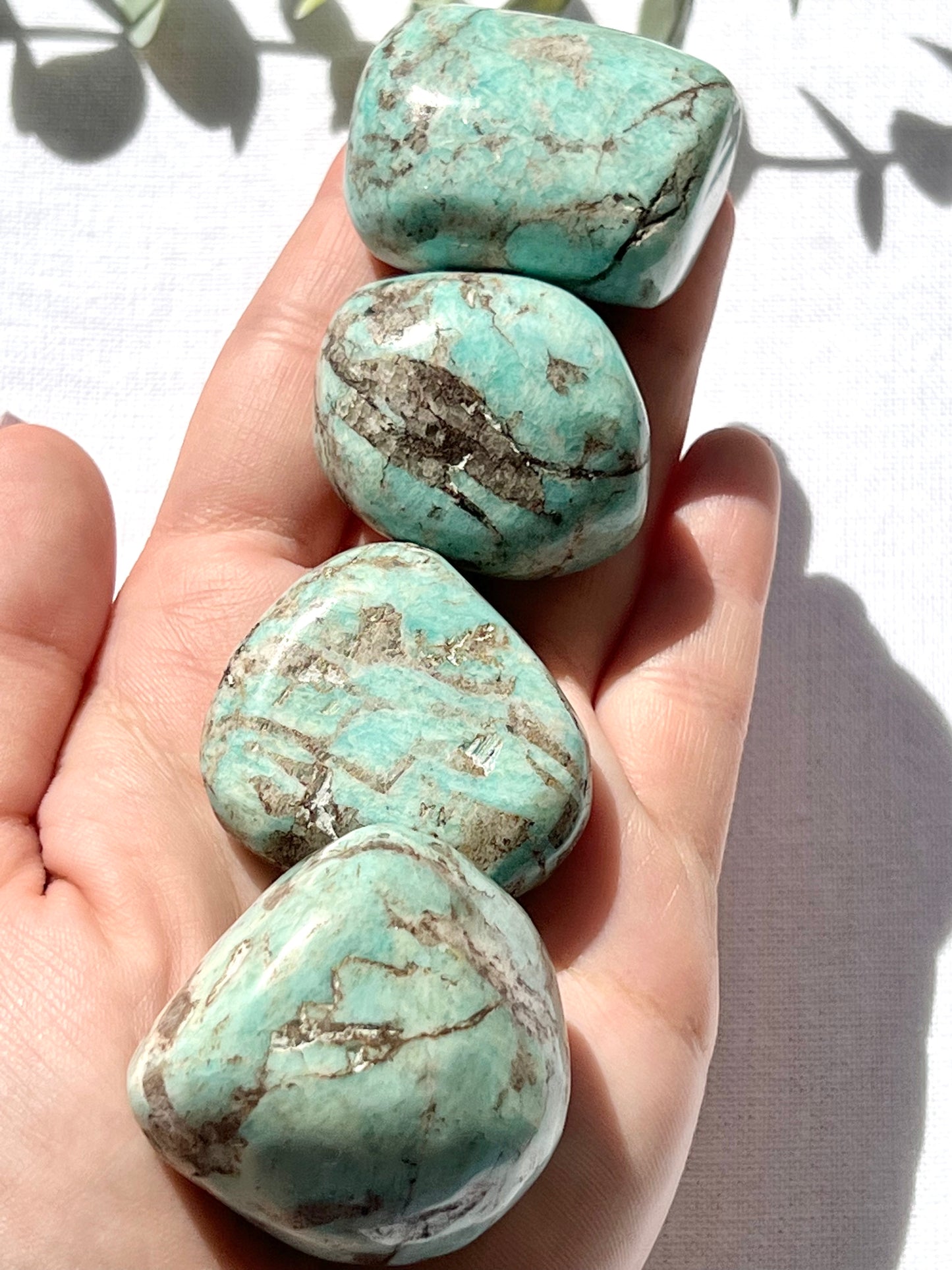 Amazonite Tumble - Zoee Crystals