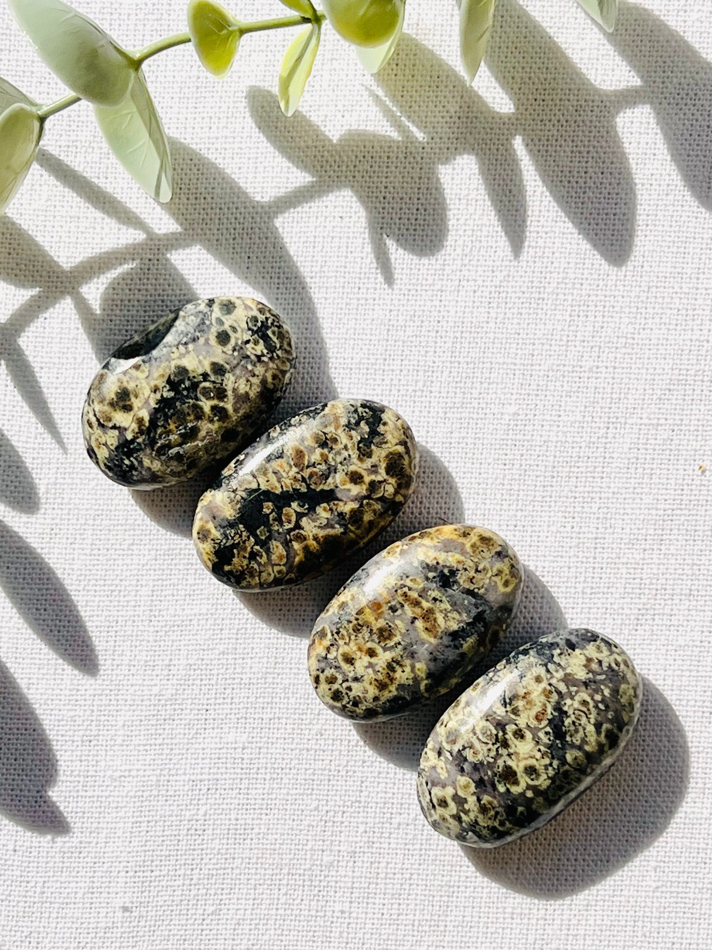 Green Snakeskin Jasper Mini Palmstone - Zoee Crystals