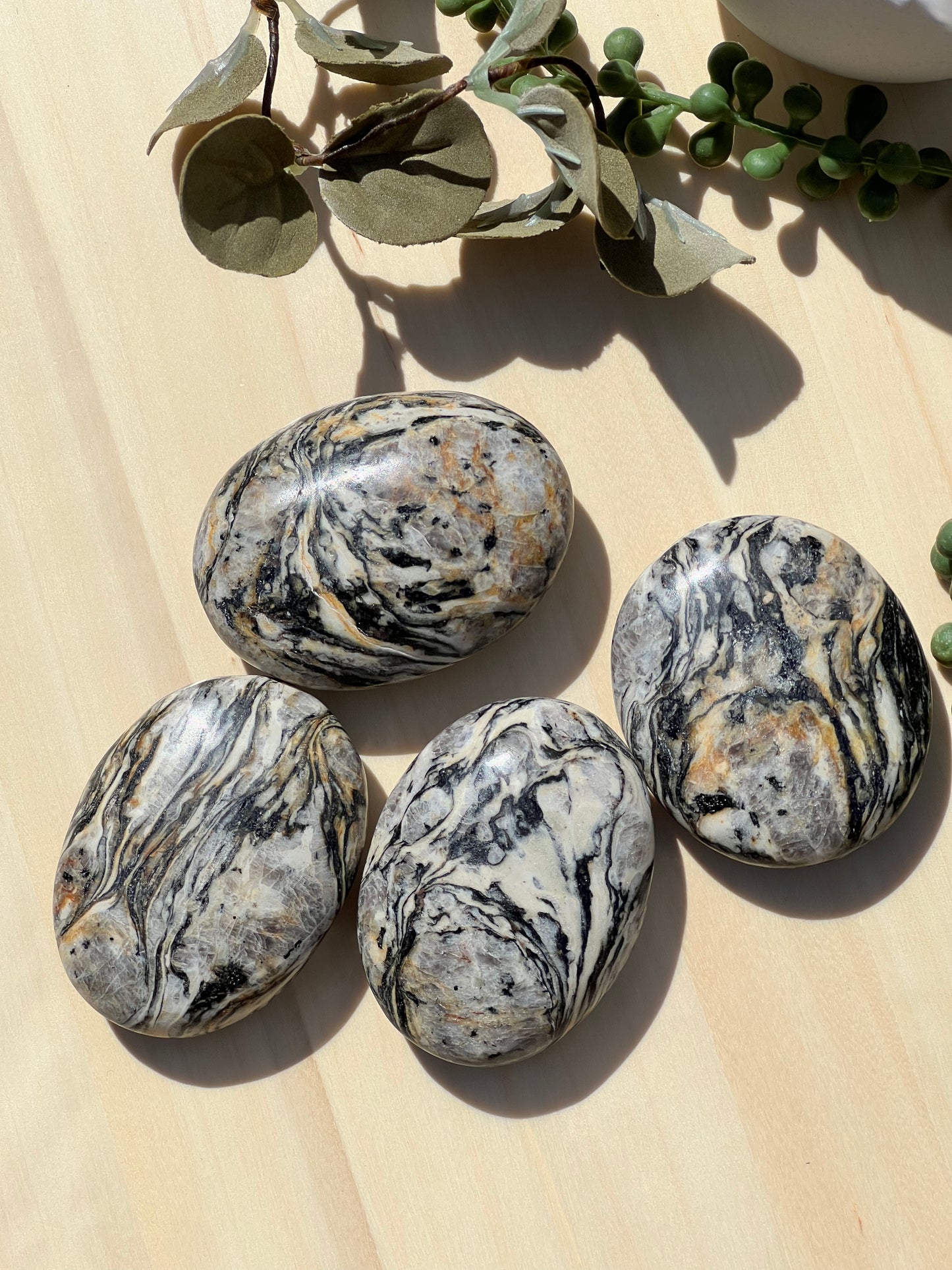 Zebra Jasper Palmstone - Zoee Crystals