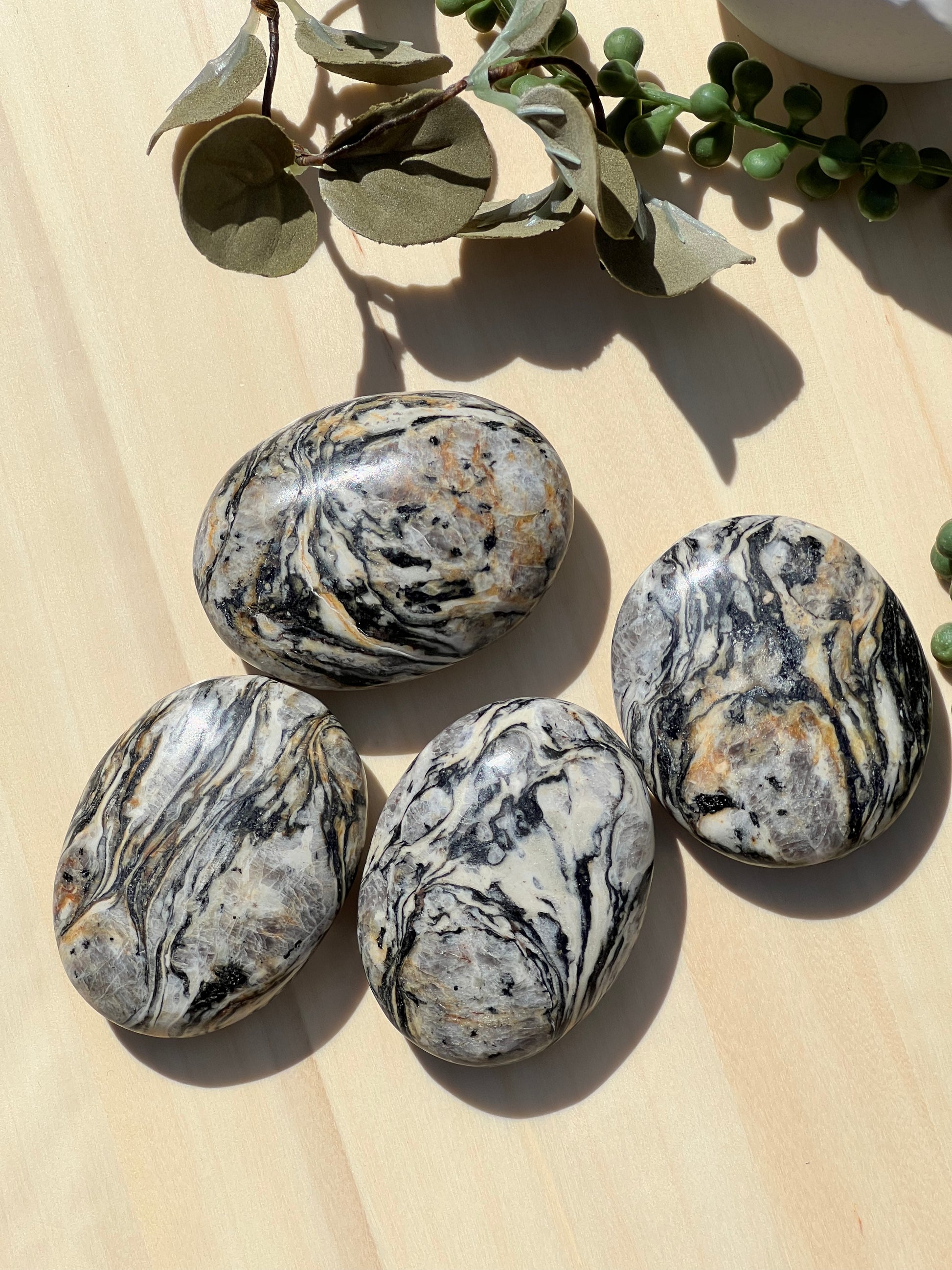 Zebra Jasper Palmstone - Zoee Crystals
