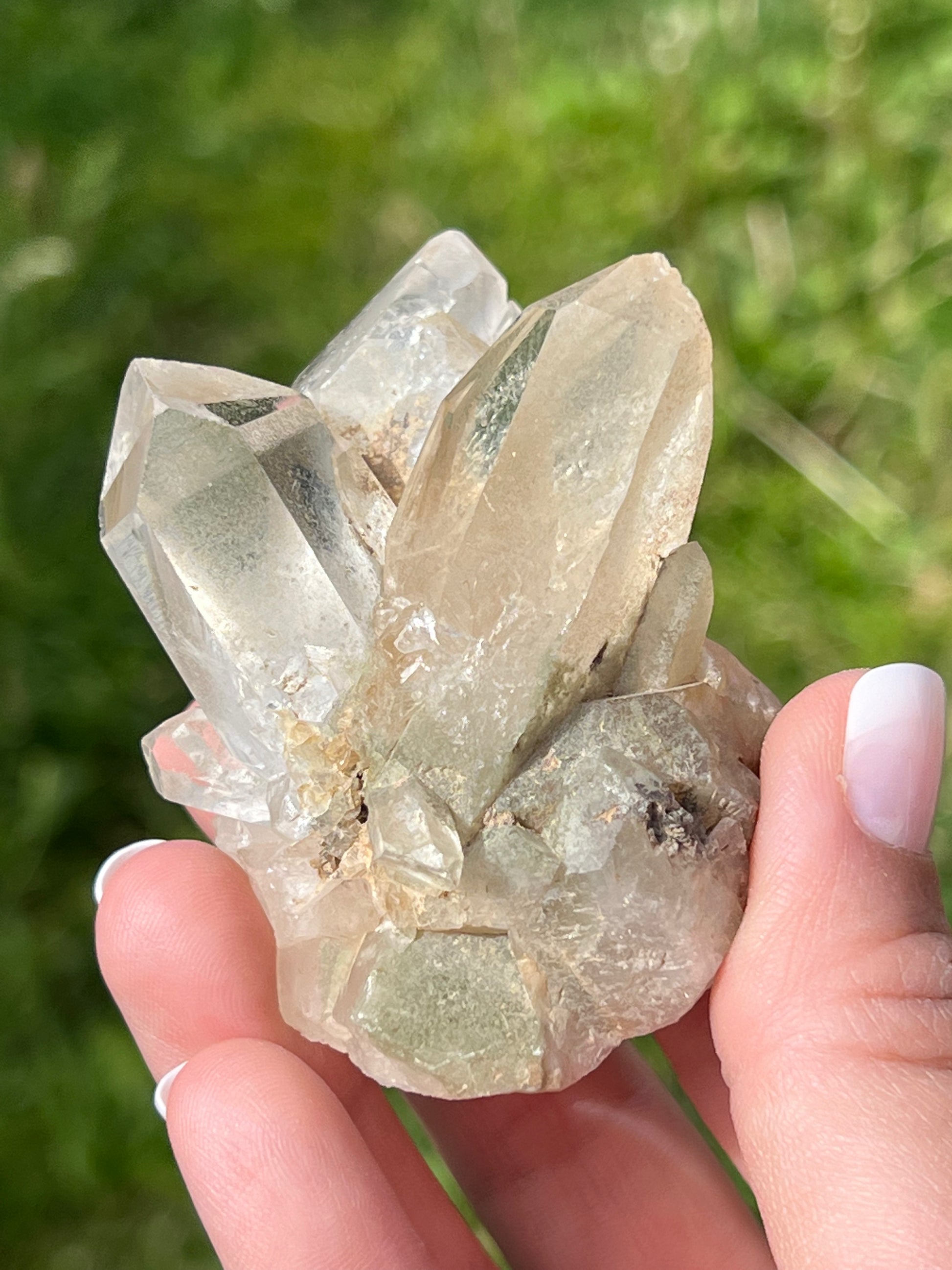 Clear Quartz Cluster - Zoee Crystals