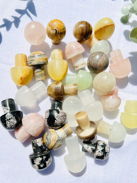 Mystery Mushrooms - Zoee Crystals