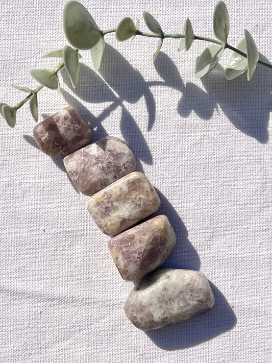 Lepidolite Tumble - Zoee Crystals
