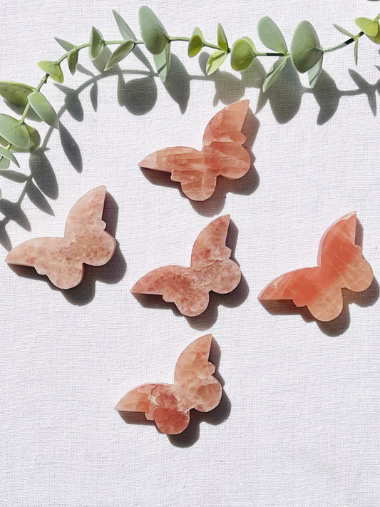 Rose Calcite Butterfly - Zoee Crystals