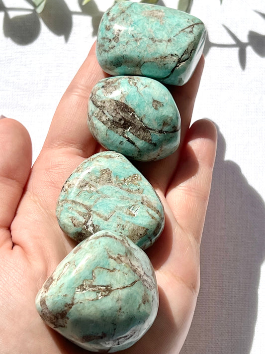 Amazonite Tumble - Zoee Crystals