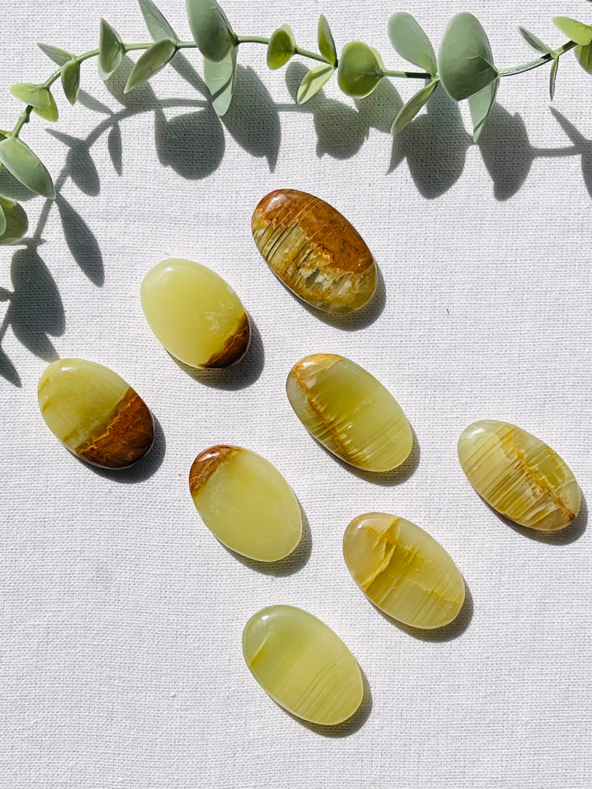 Green Onyx Mini Palmstone - Zoee Crystals