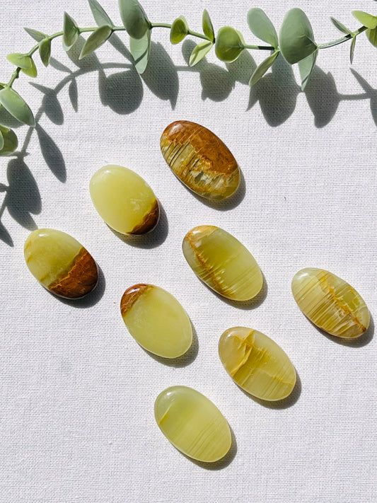 Green Onyx Mini Palmstone - Zoee Crystals
