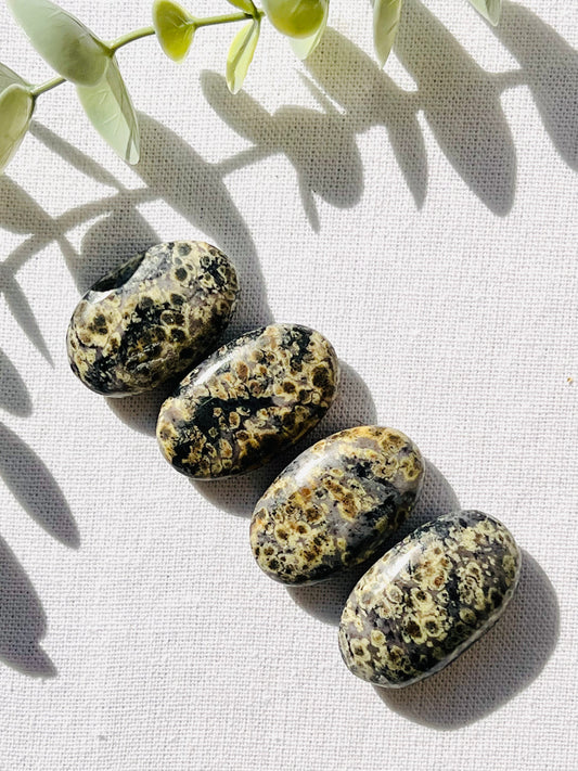 Green Snakeskin Jasper Mini Palmstone - Zoee Crystals